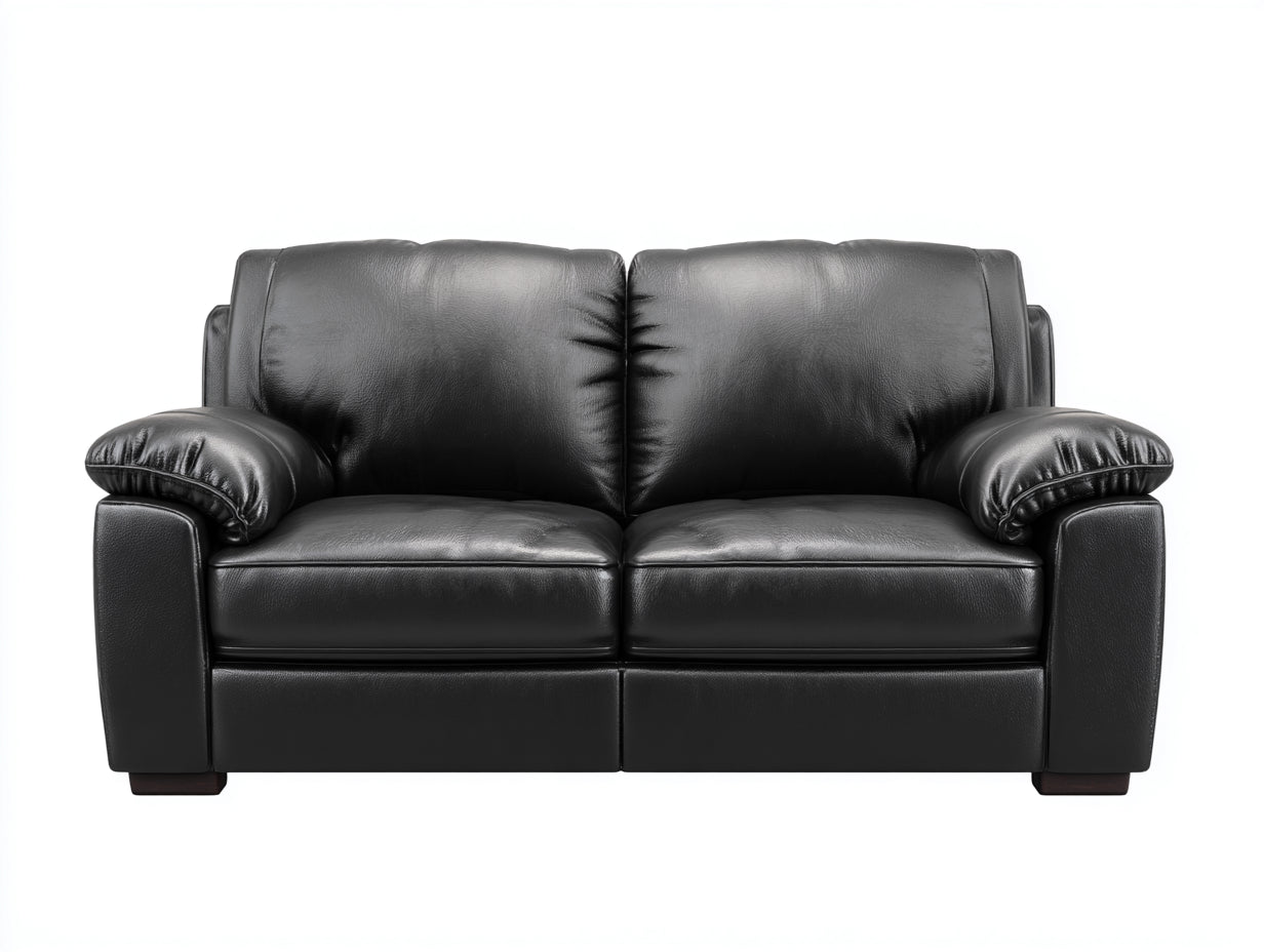 Divano lineare-pelle-legno-170x92x83 cm-nero-stile moderno